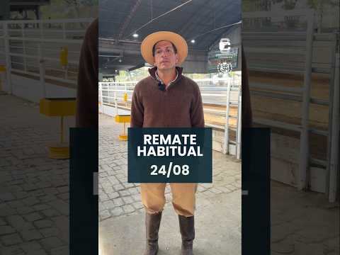 Remate habitual 24/8/2026.