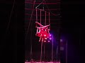 Bombay Circus Stunt Pune Dec 2018 Gymnastics Stunts Trapeze By 4 Girls