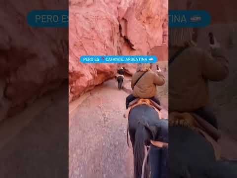 ¿Sabías que el camino a Cafayate es uno de los más lindos de Argentina? 🏜️