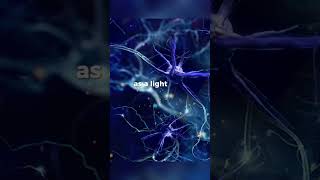 Download lagu Power of human brain #knowledge #brain #human #science #physics #math #biology #chemistry mp3 Download lagu Power of human brain #knowledge #brain #human #science #physics #math #biology #chemistry mp3