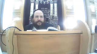 שיעור בזרע שמשון פרשת תזריע ומצורע תשפה הרב יצחק ליכטנשטיין ביהכנ גאולת ישראל נס ציונה