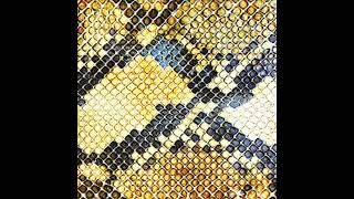 The Amazing Snakeheads - Swamp Song