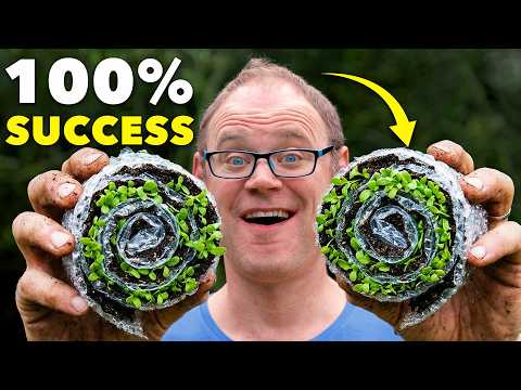 The Revolutionary Method for Starting Seeds