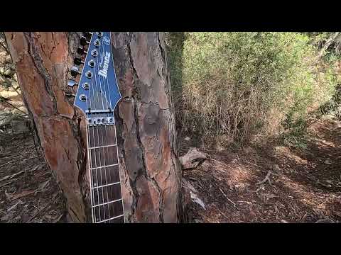 Sound test Ibanez Prestige 2027XL 7 string