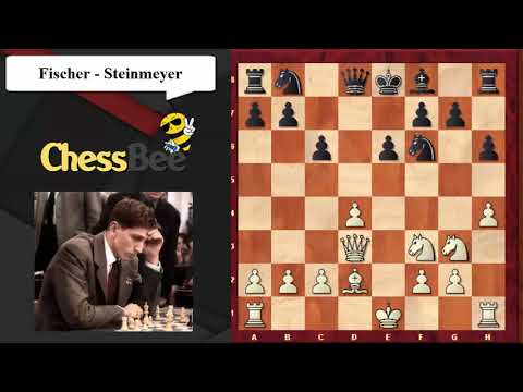 93. Fischer Vs Steinmeyer