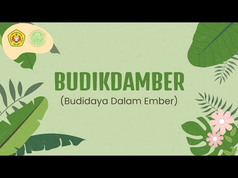 Budikdamber (Budidaya Dalam Ember) - Video Teknologi Tepat Guna KKN39 UPNVJT 2021