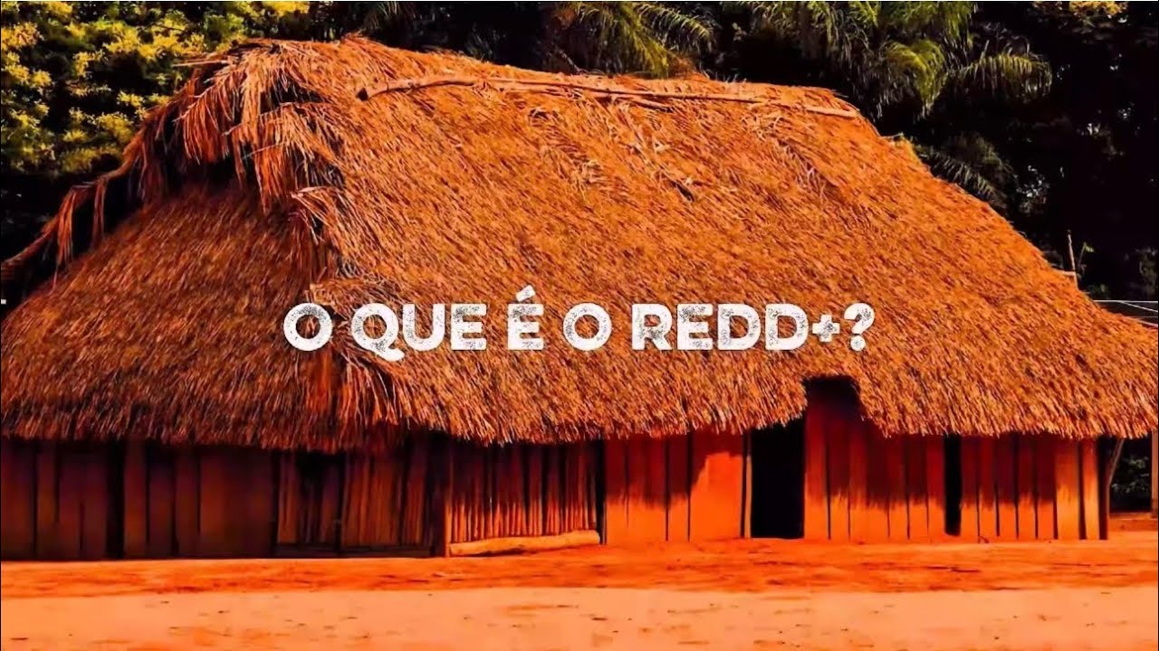REDD+ e Povos Indígenas 