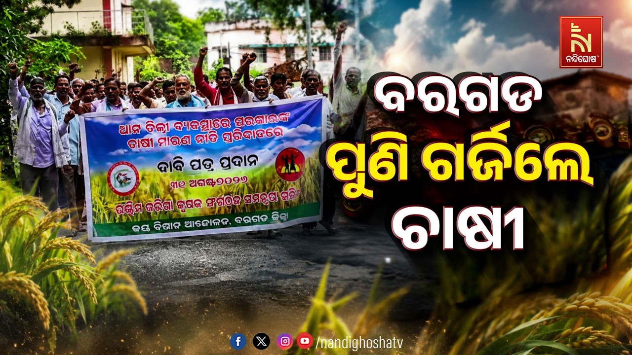ବରଗଡ଼ : ପୁଣି ଗର୍ଜିଲେ ଚାଷୀ