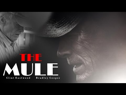 The Mule (2018) Movie | Clint Eastwood, Bradley Cooper, Laurence Fishburne | Review and Facts