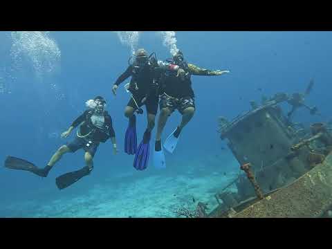 Scuba Diving In Cozumel Mexico 2022