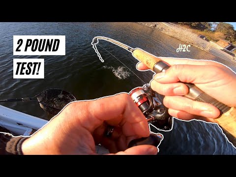 Use 2lb test line to catch trout