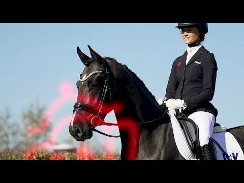 26 Levito Wallach v. Le Vivaldi - Lord Loxley