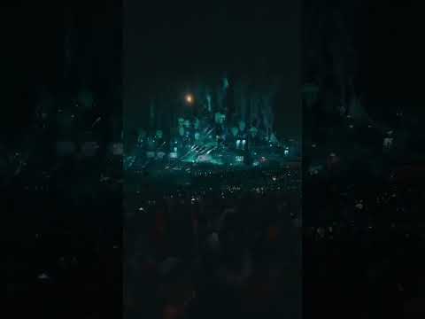 Is Tomorrowland the best festival in the World?! ❤️😍🔥