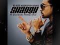 Shaggy -  Mr Boombastic Remix [Dj Jflor]