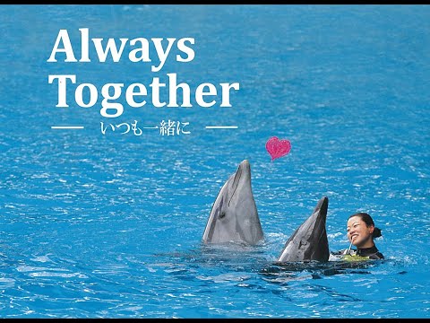 アドベンチャーワールドオリジナルソング『Always Together （いつも一緒に）』