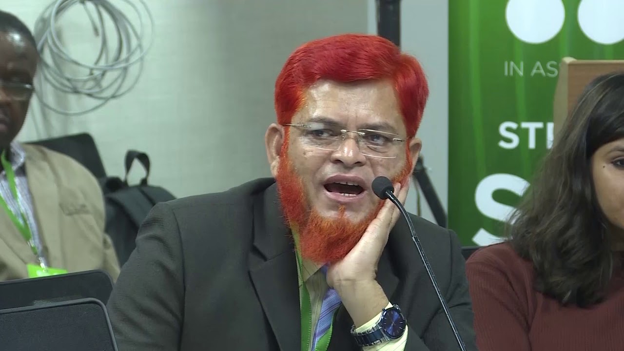 Panel Discussion - The State-of-the-Art in Digital Heritage and its Role in Strengthening SAARC