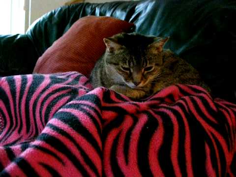 Lucy Wells at Somerset.MOV