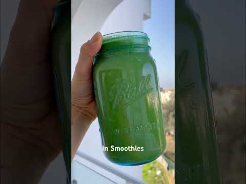 Wo bekomme ich als Rohveganerin Protein her?? 😱 #protein #muskelaufbau