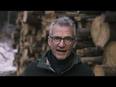 Kann präventiv einer Ausbreitung des Borkenkäfers vorgebeugt werden?