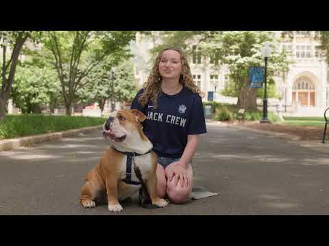 What Rocks: Jack the Bulldog - YouTube