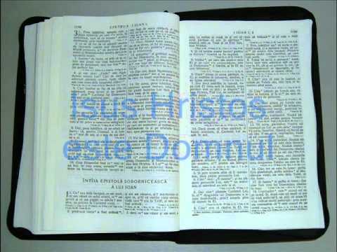 23 - 1 - IOAN - Noul Testament - Biblia Audio Romana