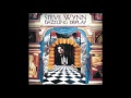 Steve Wynn - Halo