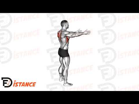 Exercice Tirage scapulaire debout (échauffement)