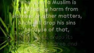 Are You Going Through Hardships In Life?Allah says (in the interpretation of the meaning): `Certainly, We shall test you w...