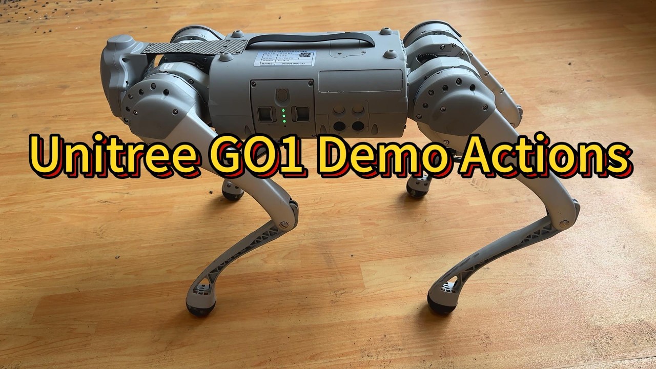Unitree Robotics Go1 tutorial