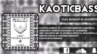 Are You With Me vs Bomb A Drop (Dimitri Vegas & Like Mike Mashup)[KAOTICBASS Remake]