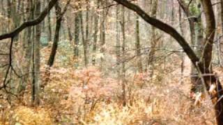 Earth Day Video - Climacide by Becca Schack