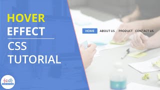 Hover Effect in CSS || CSS Tips and Tricks