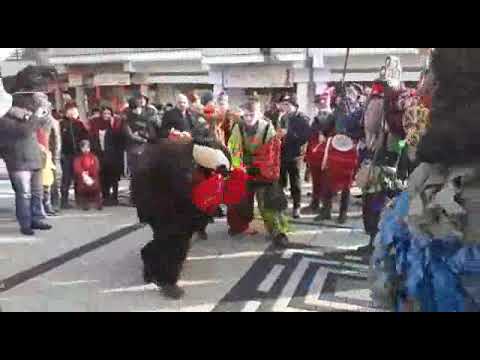 Ursul din blagesti 2017--2018