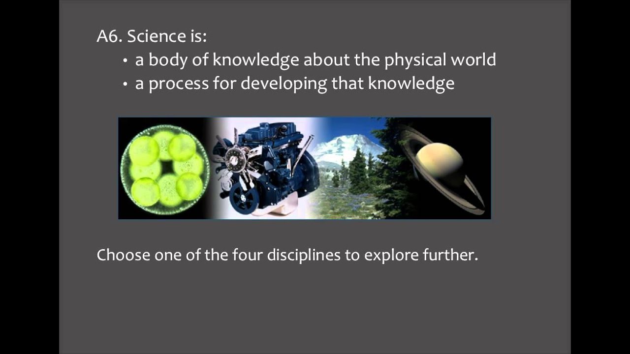 Disciplinary Core Ideas & Learning Progressions (Appendix E)