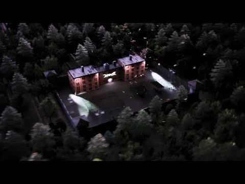 Trico - birds (Official Lyric Video)