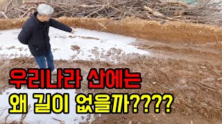 우리나라 산에 길을 낼 수 없는 이유(feat_산사태의 원인과 진실)