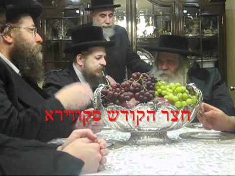 Events By The Skver Rebbe Shlita 2011