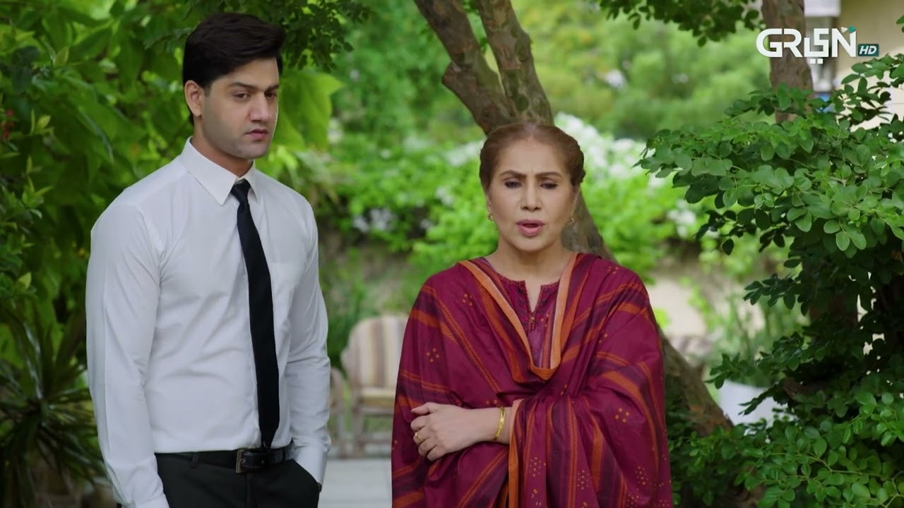 Aik Bhool Episode 48 | Best Moment 05 | Green TV Entertainment