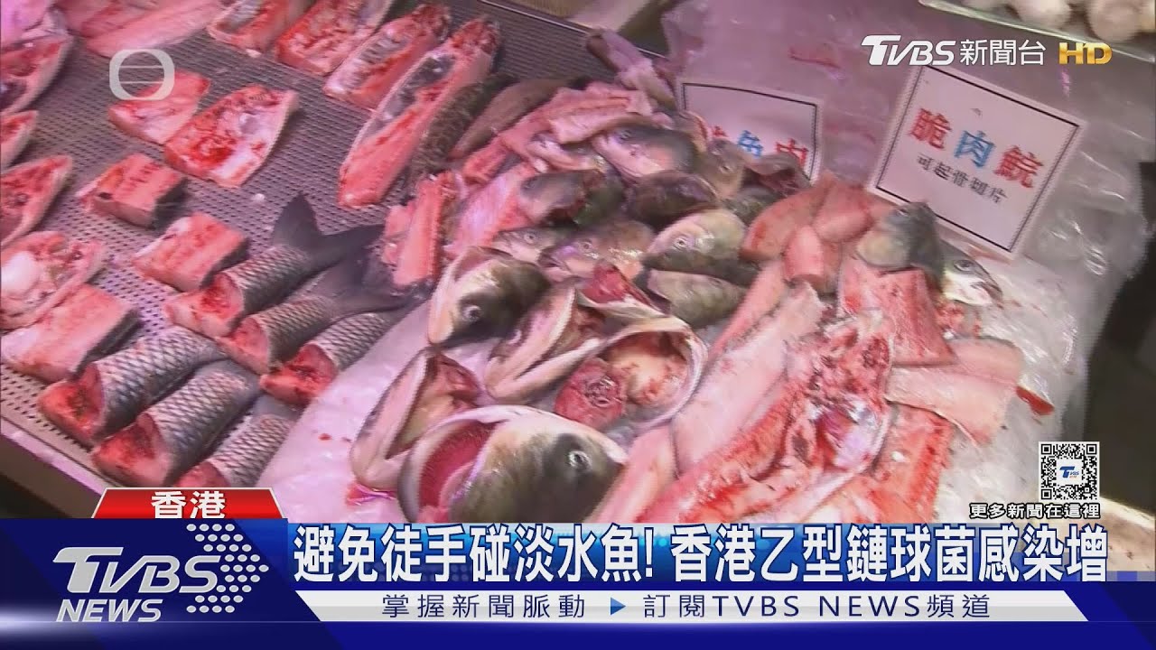 吃淡水魚小心！　香港乙型鏈球菌感染增至40人