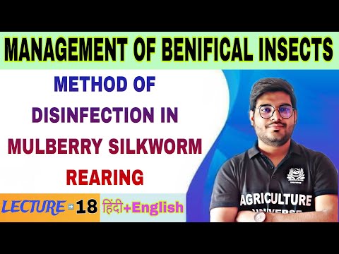 importance of beneficial insects management of benifical insects bsc agriculture 5th sem