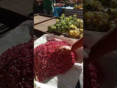 Encontrei Feijão Verde Fogo na Serra na Feira Livre de São José do Egito PE #nordeste
