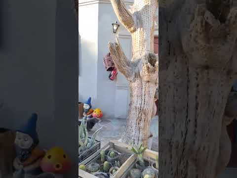 CACHI -SALTA EN BICICLETA DESDE LA PIEDRA DEL MOLINO