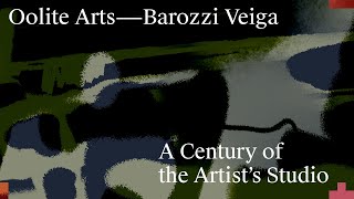 Oolite Arts, Miami: Alberto Veiga, Barozzi Veiga Arquitectos
