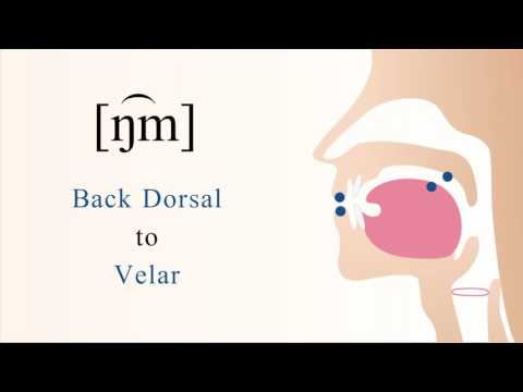 [ ŋ͡m ] voiced labial coarticulated back dorsal velar nasal stop