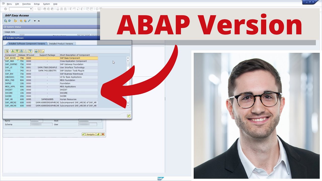 Find the ABAP version in your SAP system