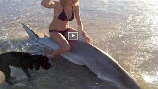 FICCION, CHICA POSA EN VIDEO CON TIBURON PENSANDO QUE ESTABA MUERTO LAMENTANDOLO PARA SIEMPRE