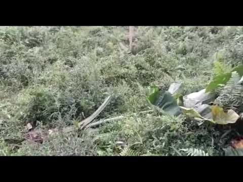 Kamuflaż