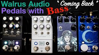 Walrus Audio - [R1] & [D1] w/ Slö & Lillian Effect Pedal Combo for Bass! "Coming Back" REMASTERED