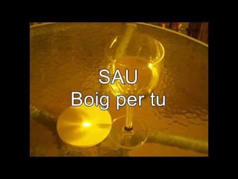 Sau - Boig Per Tu (Lyrics)