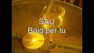 Sau - Boig Per Tu (Lyrics)